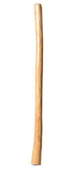 Medium Size Natural Finish Didgeridoo (TW1476)